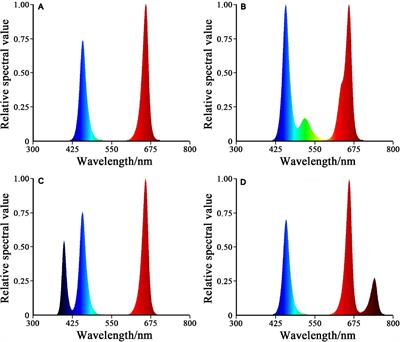 Effect of LED Spectrum on the Quality and Nitrogen Metabolism of Lettuce Under Recycled Hydroponics